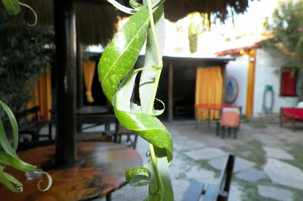 Hostel Mendoza Inn